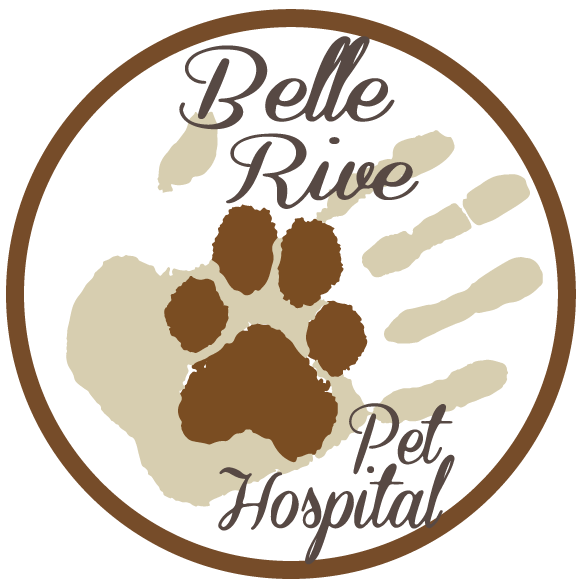 Belle Rive Pet Hospital Logo
